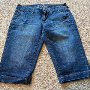 Old Navy Ultra Blue Denim Shorts